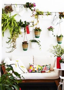 Decorar tu terraza con plantas