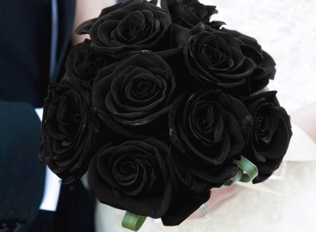 rosas negras de papel