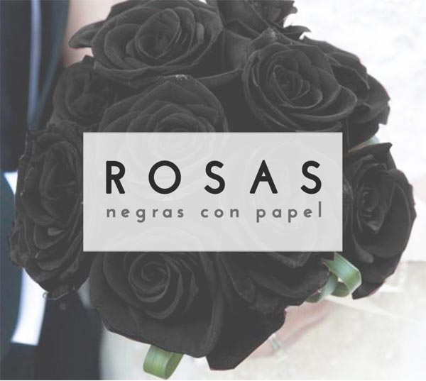 Rosas negras DIY con papel pinocho