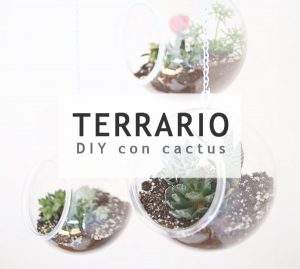 DIY terrario de cactus