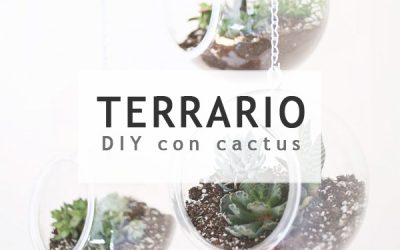 Cómo hacer un terrario para tus cactus